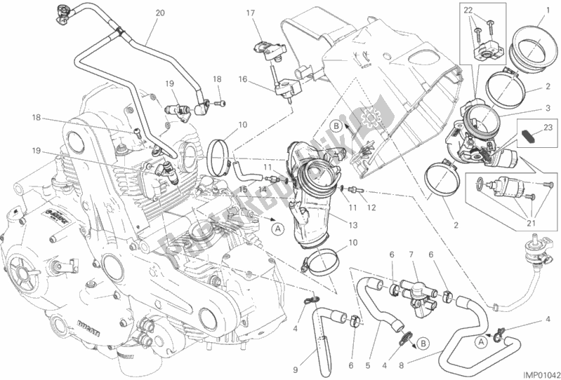 Alle onderdelen voor de 017 - Gasklephuis van de Ducati Monster 797 Plus 2019